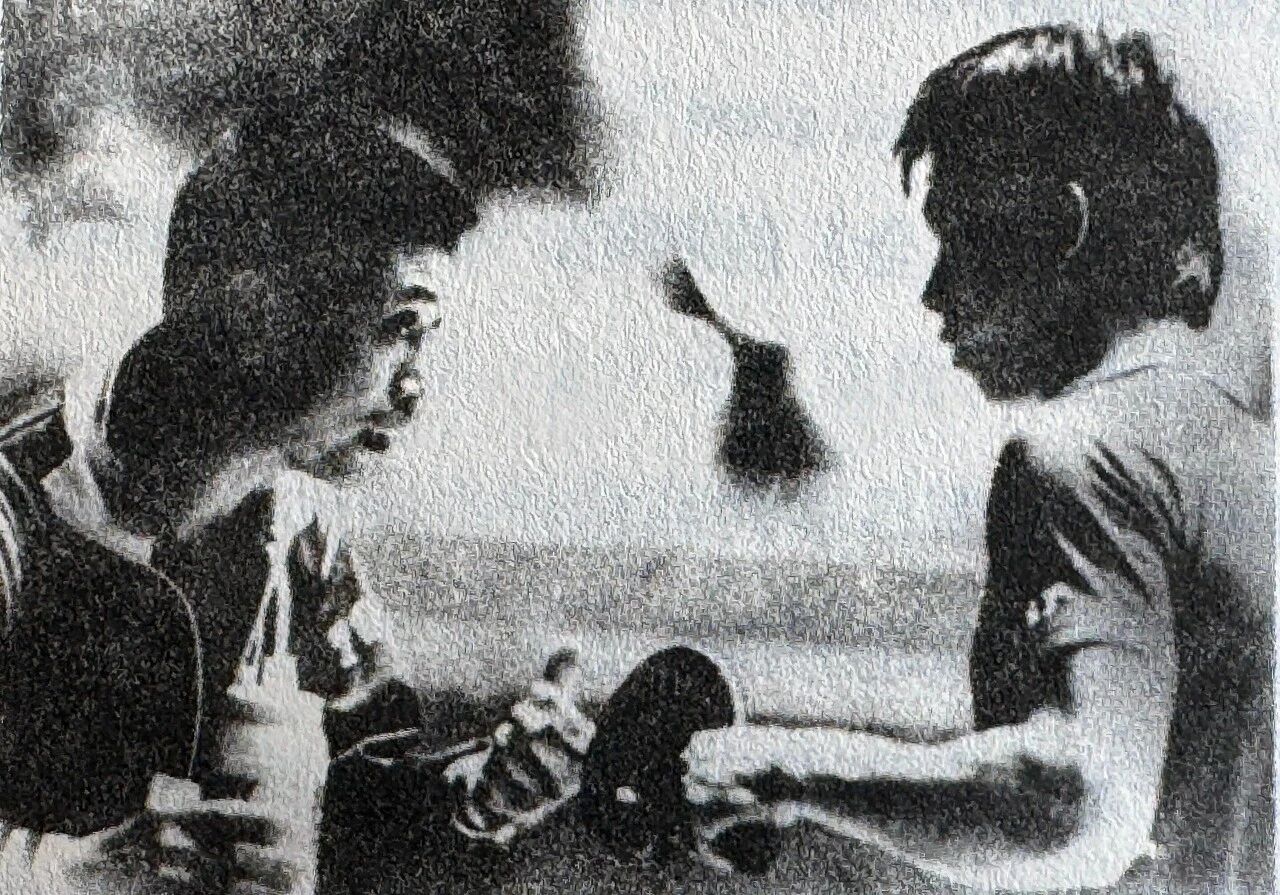 年全国乒乓 年全国乒乓