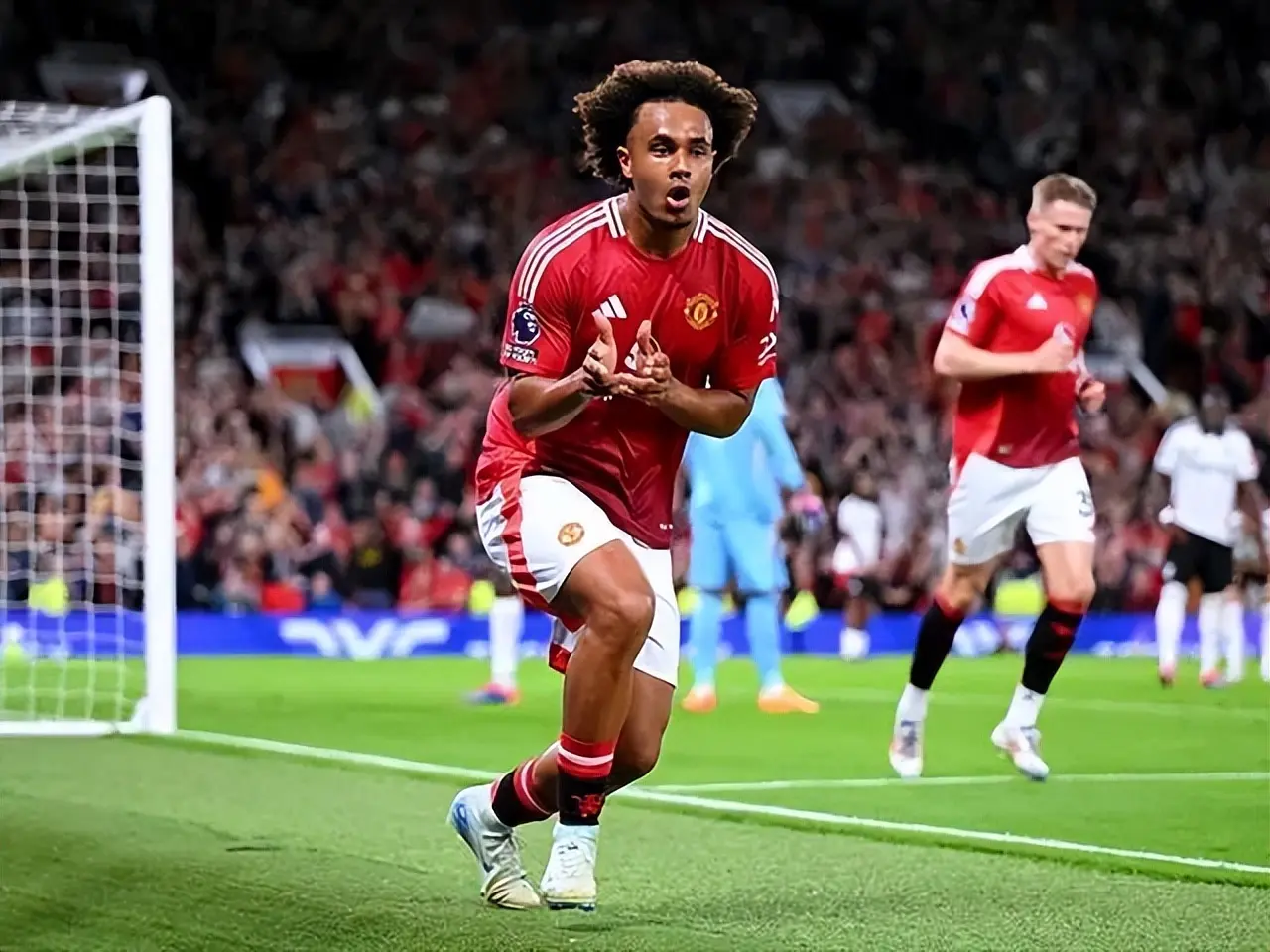 msn, tenan msn, tenan